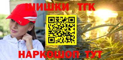 индика Обь