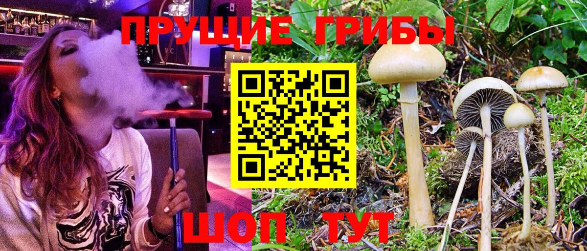 Галлюциногенные грибы прущие грибы  Галлюциногенные грибы Psilocybe  Вход с VPN  Великий Новгород 