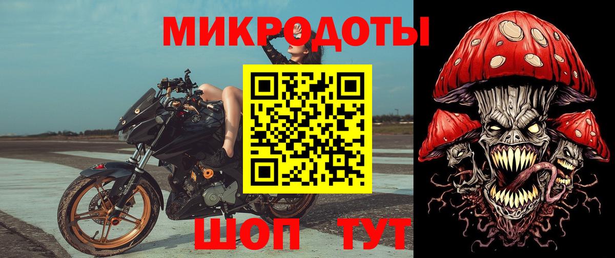 Псилоцибиновые грибы Psilocybe Великий Новгород